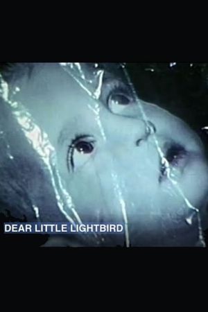 Dear Little Lightbird's poster