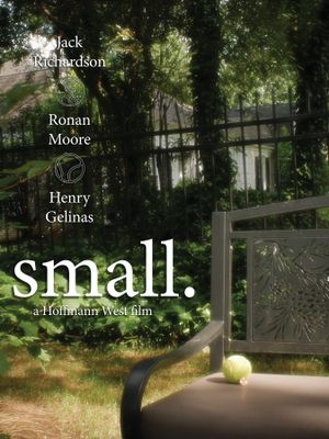 small's poster image