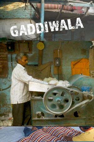 Gaddiwala's poster