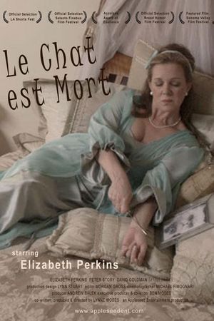 Le Chat Est Mort's poster
