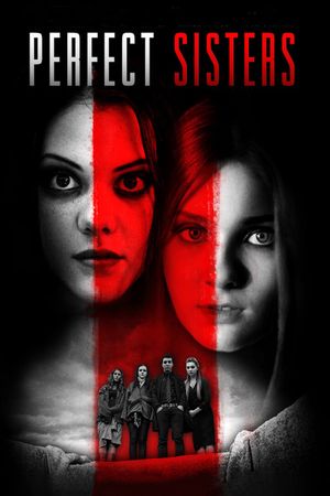 Perfect Sisters's poster