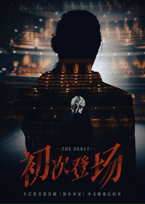 初次登场's poster