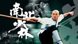 Martial Arts of Shaolin's poster