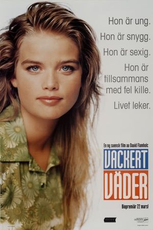 Vackert väder's poster image