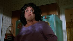 Polyester's poster