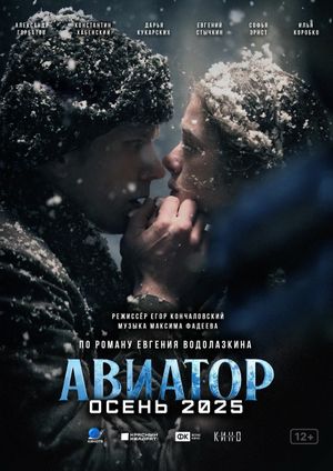 Aviator's poster