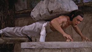 Invincible Shaolin's poster