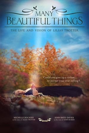 Many Beautiful Things's poster