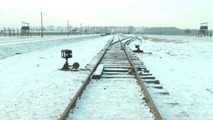 19 876 Steps in Auschwitz / Birkenau's poster