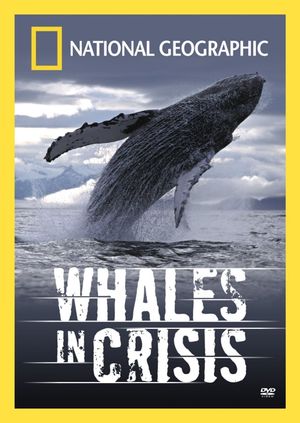 Whales in Crisis's poster