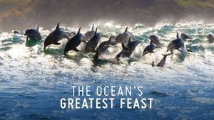 The Ocean’s Greatest Feast's poster