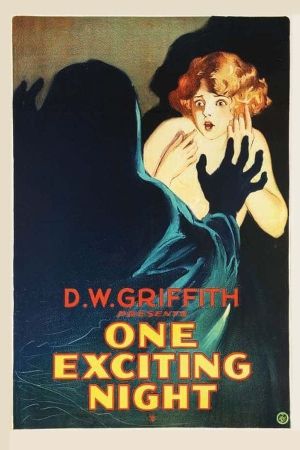 One Exciting Night's poster