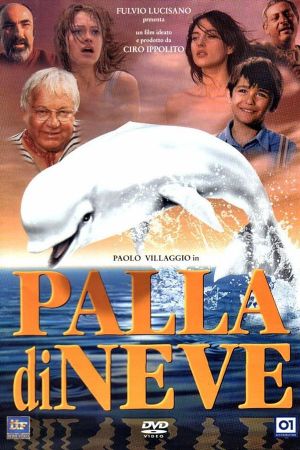 Palla di neve's poster