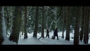 Snow and the Bear's poster