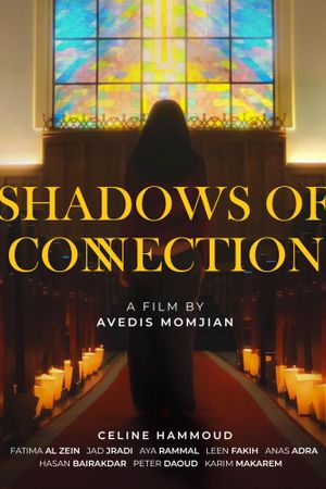 Shadows of Connection's poster