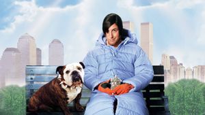 Little Nicky's poster