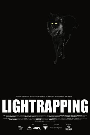 Lightrapping's poster