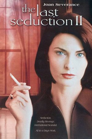 The Last Seduction II's poster