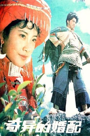 奇异的婚配's poster