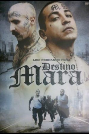 Destino Mara's poster