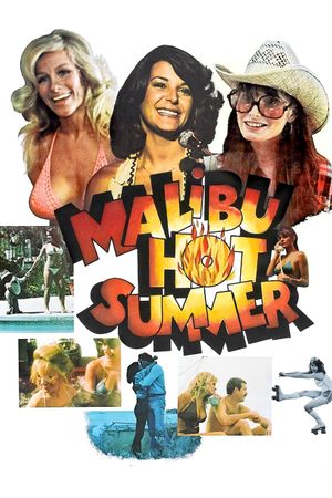 Malibu Hot Summer's poster