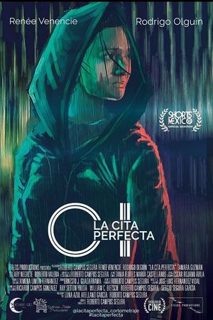 The Perfect Date's poster