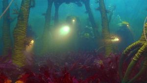 The Life Aquatic with Steve Zissou's poster