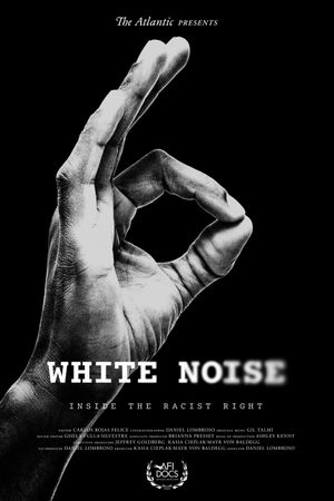 White Noise's poster