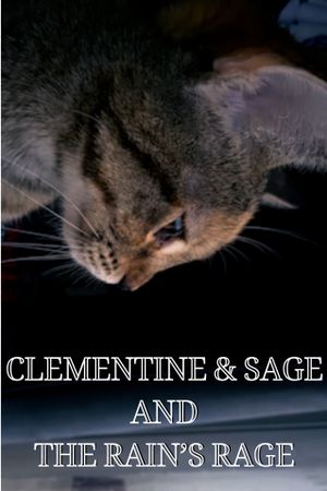 Clementine & Sage and The Rain's Rage's poster