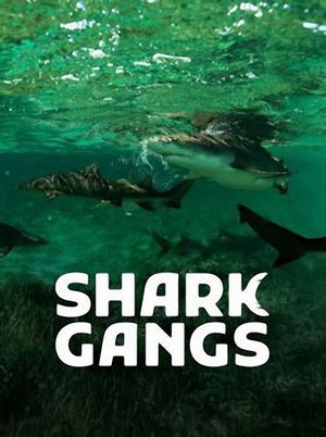 Shark Gangs's poster