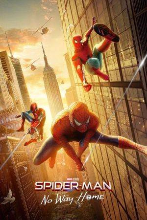 Spider-Man: No Way Home's poster