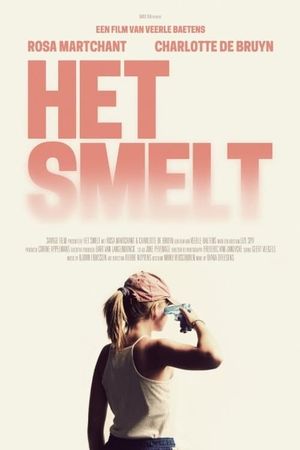 When It Melts's poster