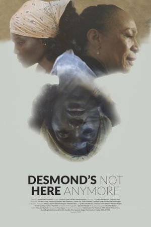 Desmond's Not Here Anymore's poster