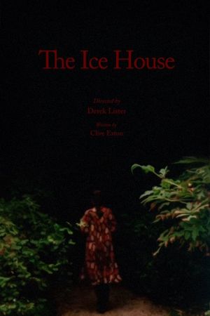 The Ice House's poster