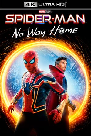 Spider-Man: No Way Home's poster