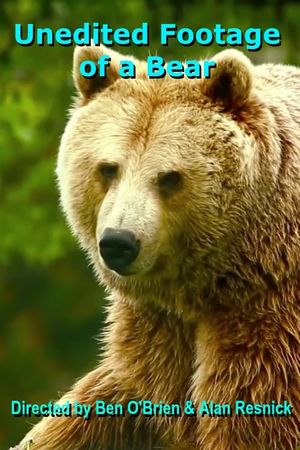 Unedited Footage of a Bear's poster