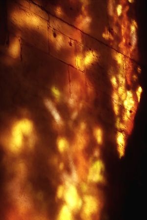 Golden Chains's poster
