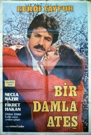 Bir Damla Ates's poster