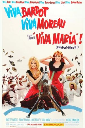 Viva Maria!'s poster