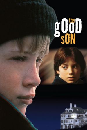 The Good Son's poster