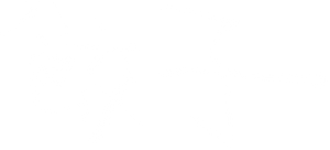 Dumplings's poster