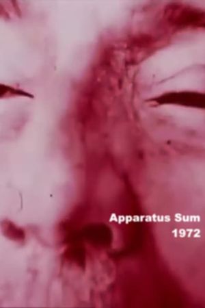 Apparatus Sum's poster