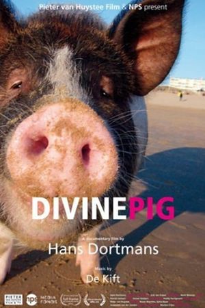 Divine Pig's poster