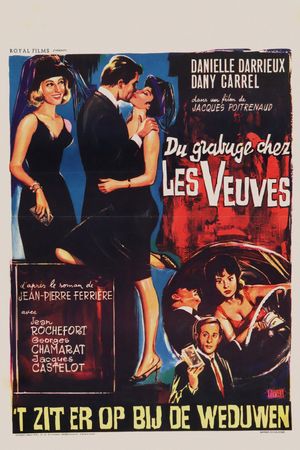 Trouble Among Widows's poster