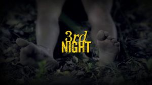 3rd Night's poster