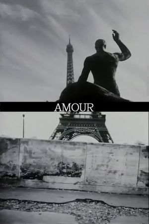 Amour's poster