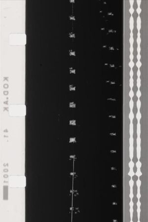 Boulevard's poster