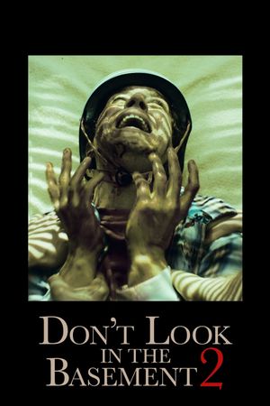 Don't Look in the Basement 2's poster