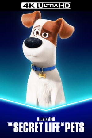 The Secret Life of Pets's poster