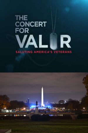 The Concert for Valor's poster